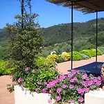 Πανσιόν Gemma Porto Azzurro